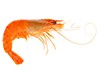 Les mer